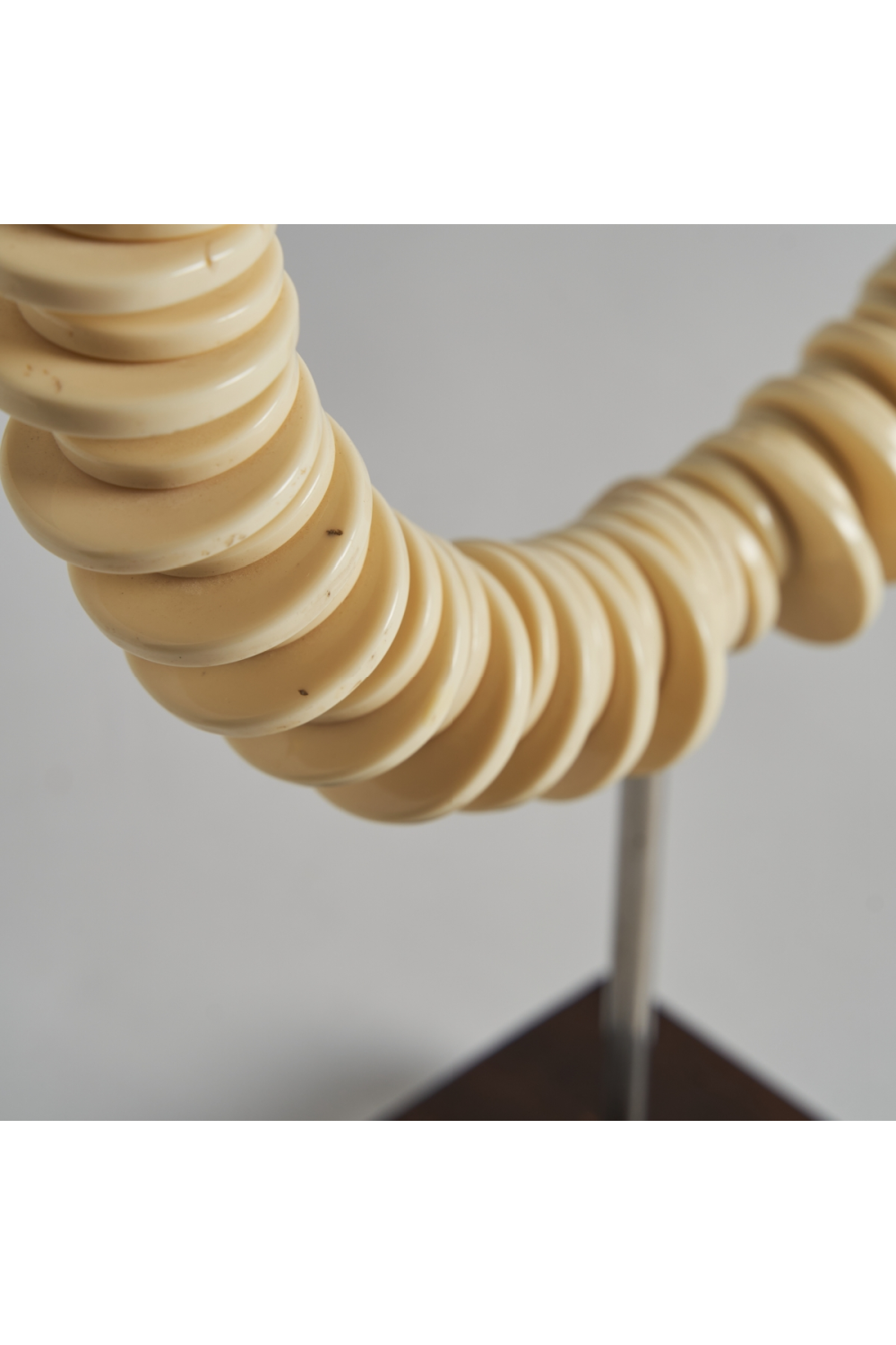   Bone Round Decorative Object | Oroa.com