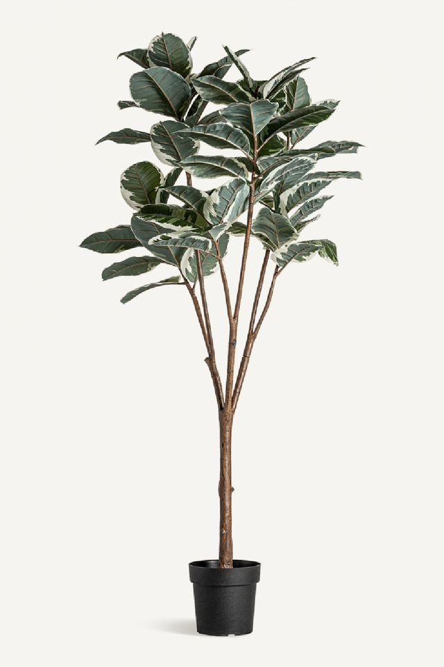 Variegated Leaf Artificial Plant | Vical Home White Oak | Oroa.com