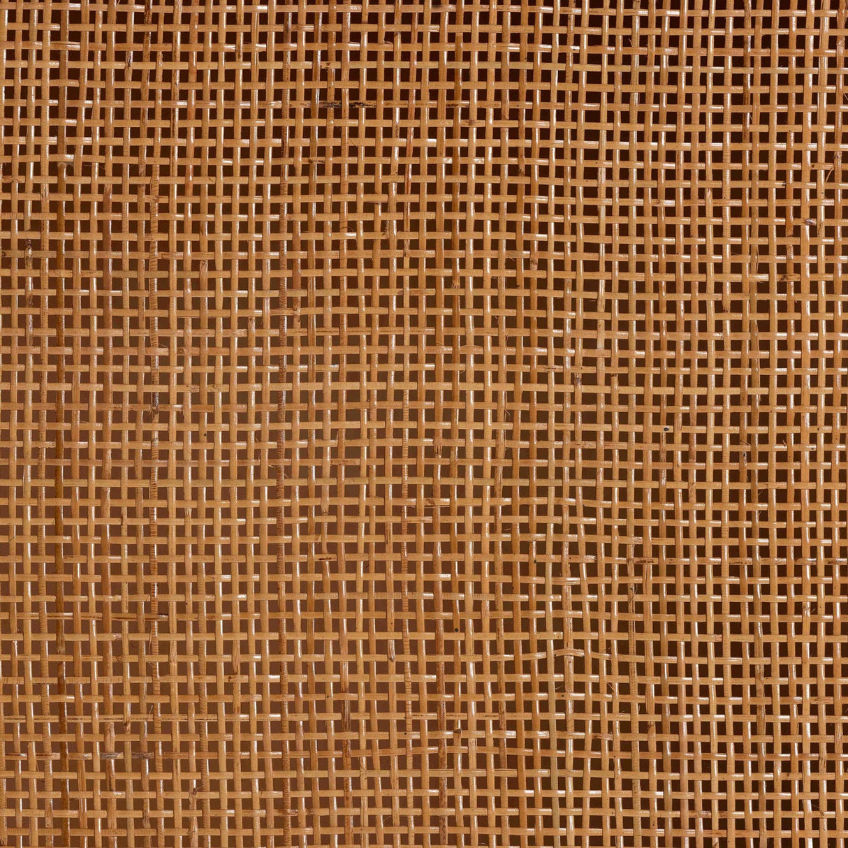   Modern European furniture - Arched Rattan Accent Cabinet - www.oroa.com | Oroa.com