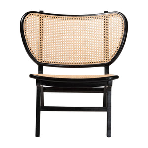   Modern European furniture - Black Mahogany Accent Chair - www.oroa.com | Oroa.com
