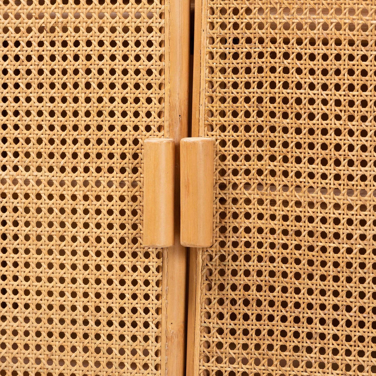   Modern European furniture - Rattan Bohemian Storage Cabinet - www.oroa.com | Oroa.com