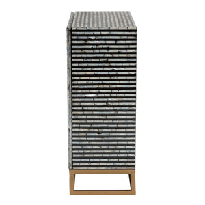   Modern European furniture - Black Gray 2 Door Cabinet - www.oroa.com | Oroa.com