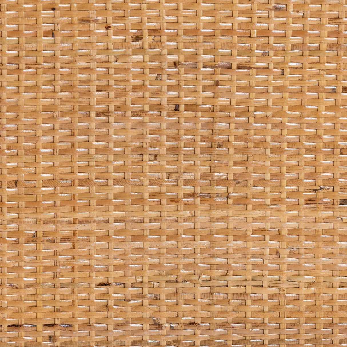   Modern European furniture - Rattan Peacock Fan Cabinet - www.oroa.com | Oroa.com