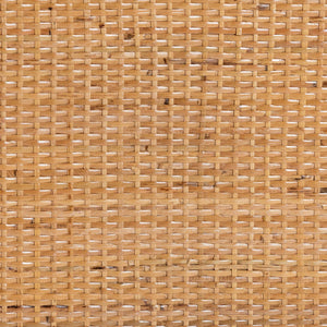   Modern European furniture - Rattan Peacock Fan Cabinet - www.oroa.com | Oroa.com