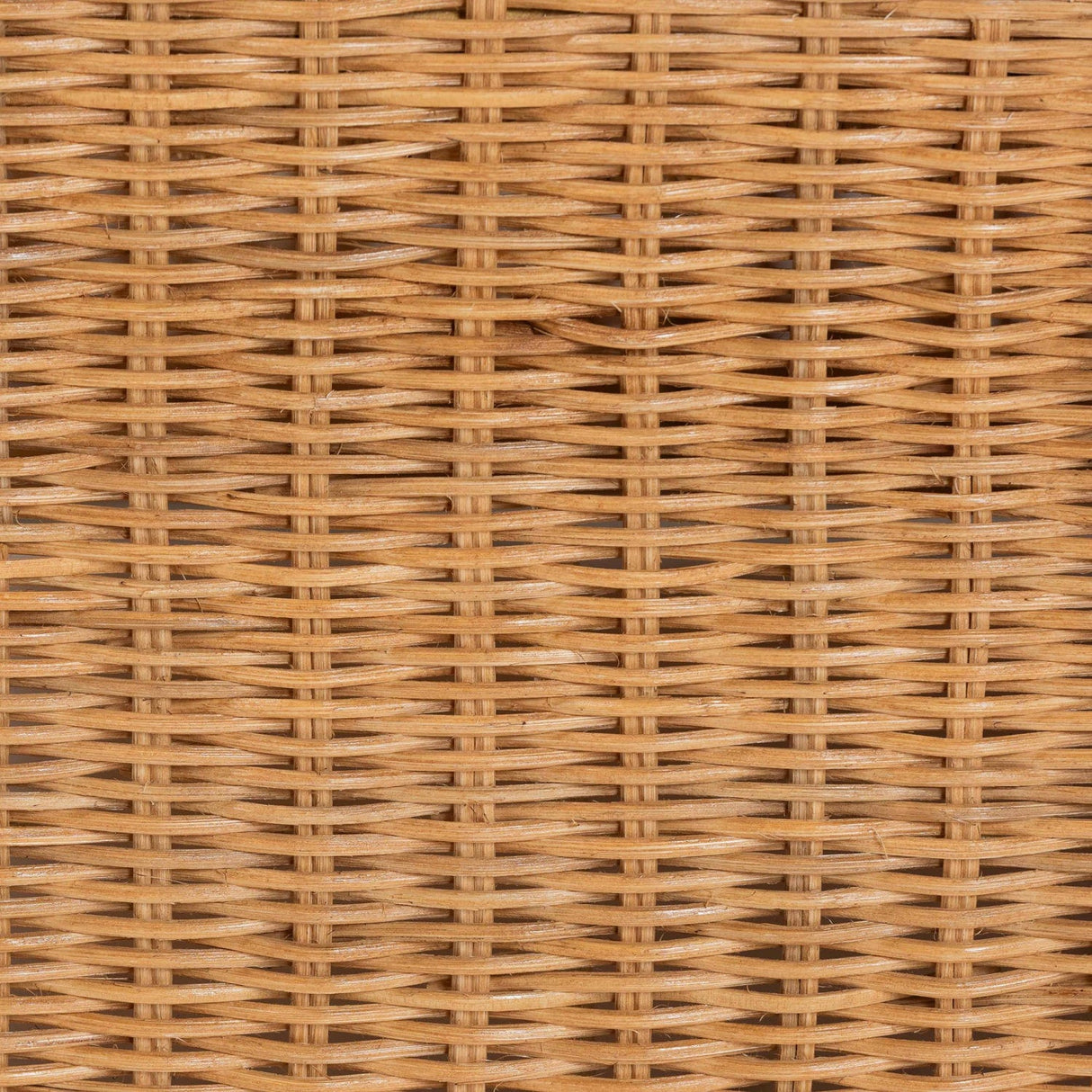   Modern European furniture - U Shaped Rattan Lounge Armchair - www.oroa.com | Oroa.com