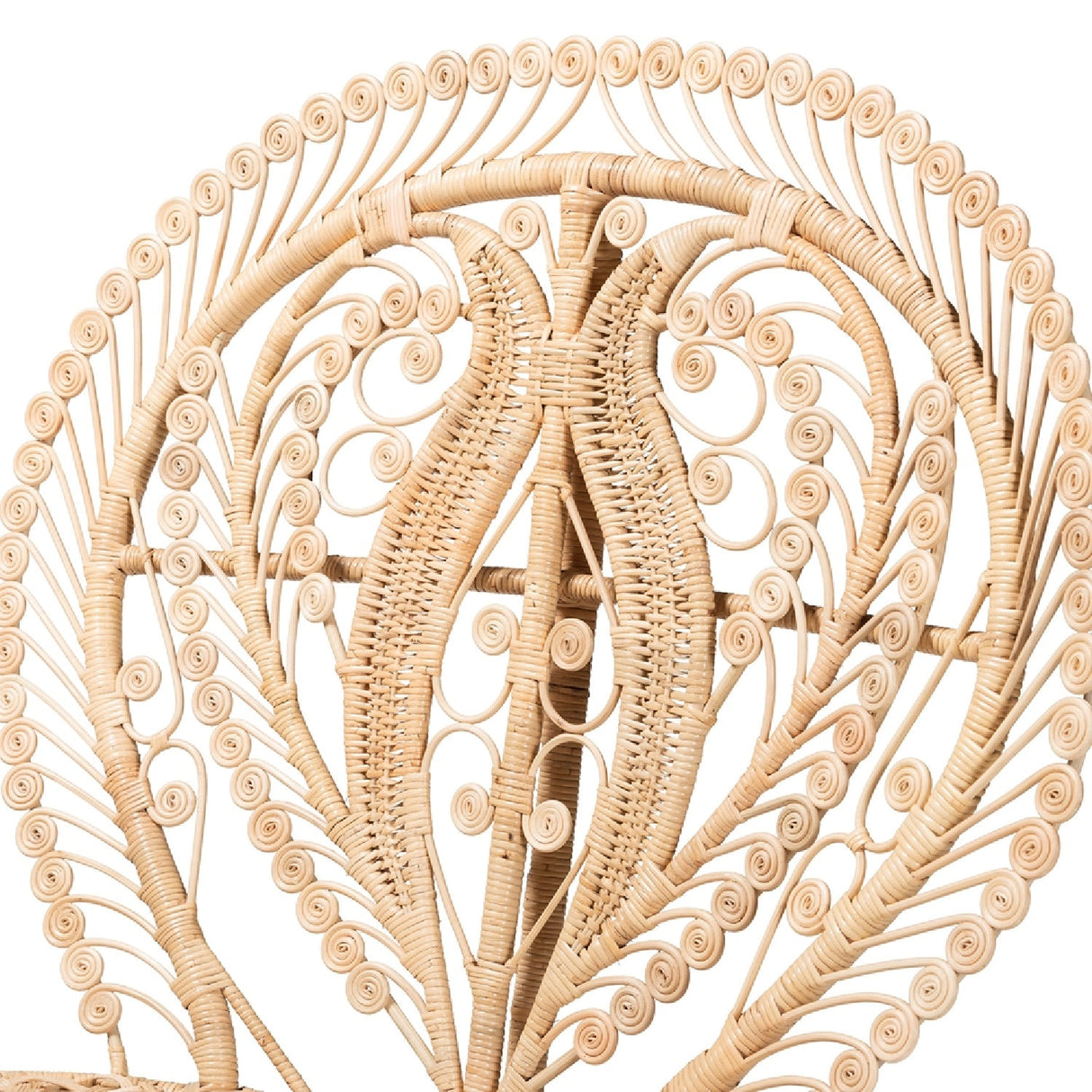   Modern European furniture - Rattan Indoor Semi Outdoor Peacock Accent Chair - www.oroa.com | Oroa.com
