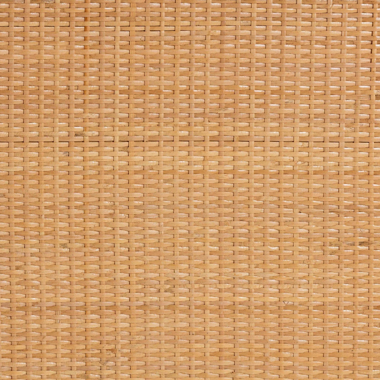   Modern European furniture - Geometrical Rattan 2 Door Cabinet - www.oroa.com | Oroa.com