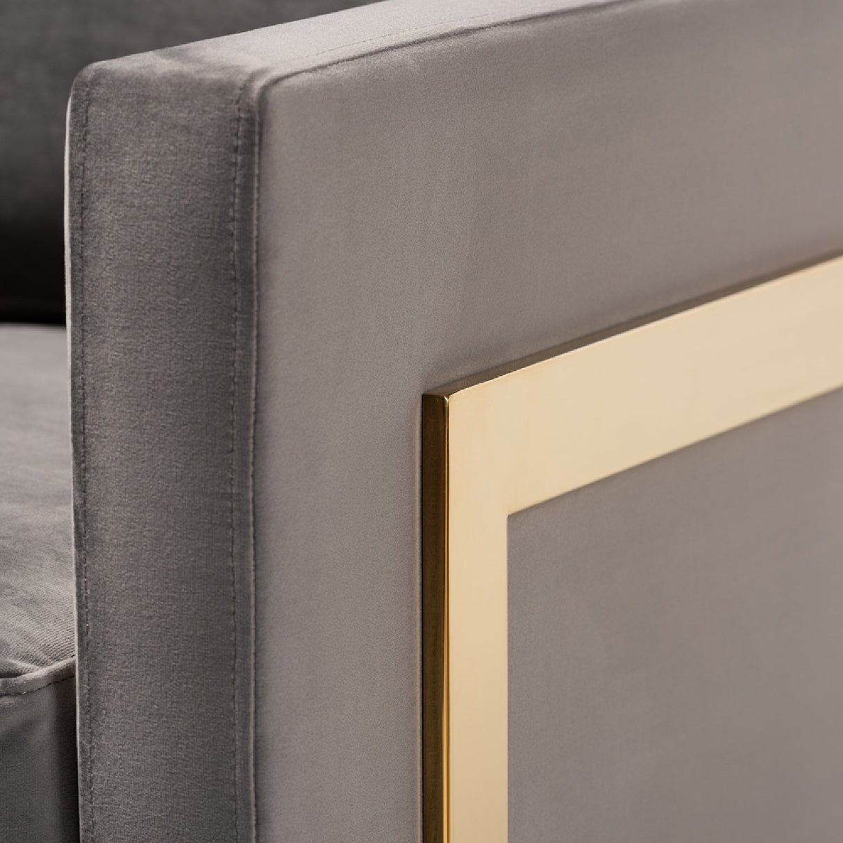   Modern European furniture - Gold Framed Velvet Accent Chair - www.oroa.com | Oroa.com