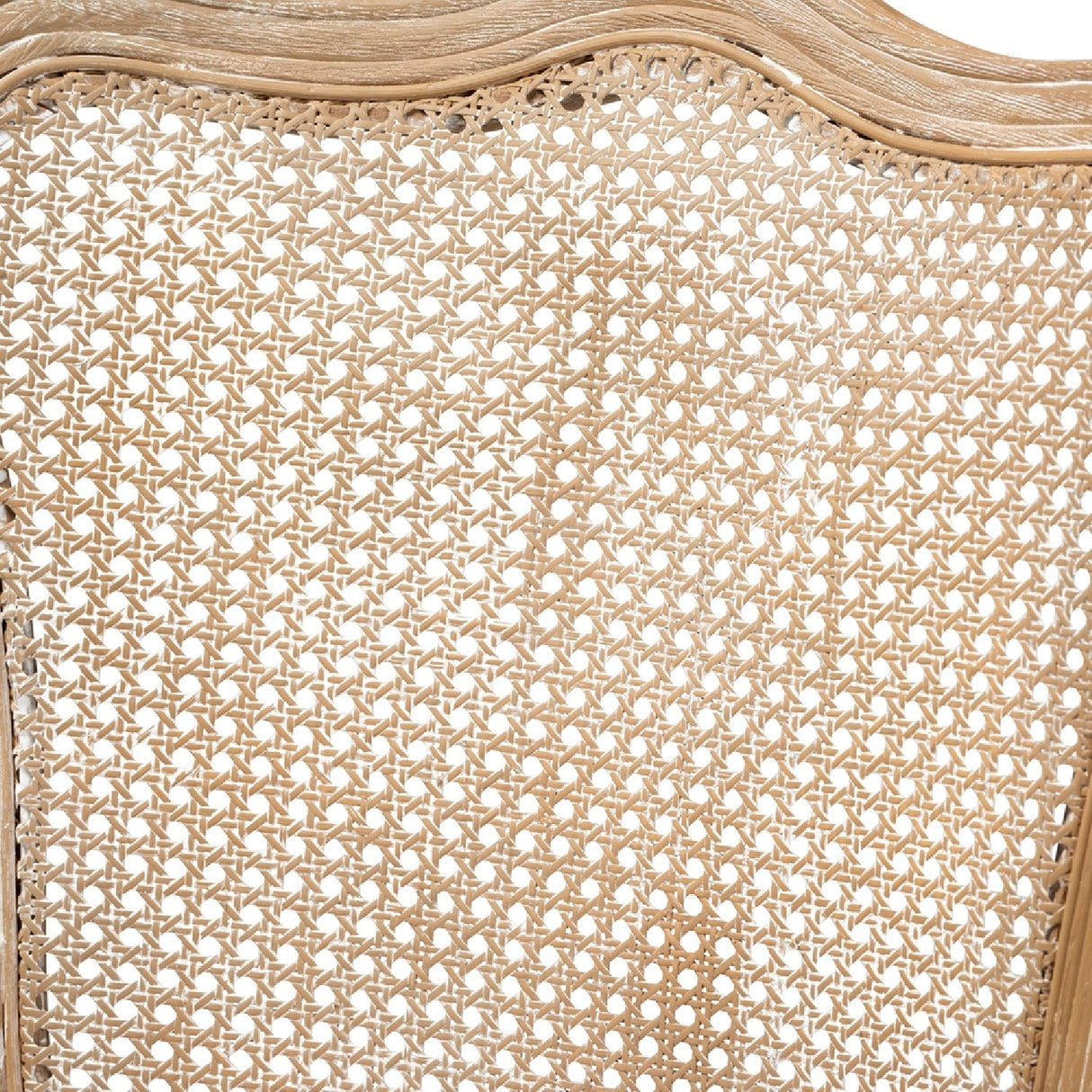   Modern European furniture - Velvet Seat Accent Chair - www.oroa.com | Oroa.com