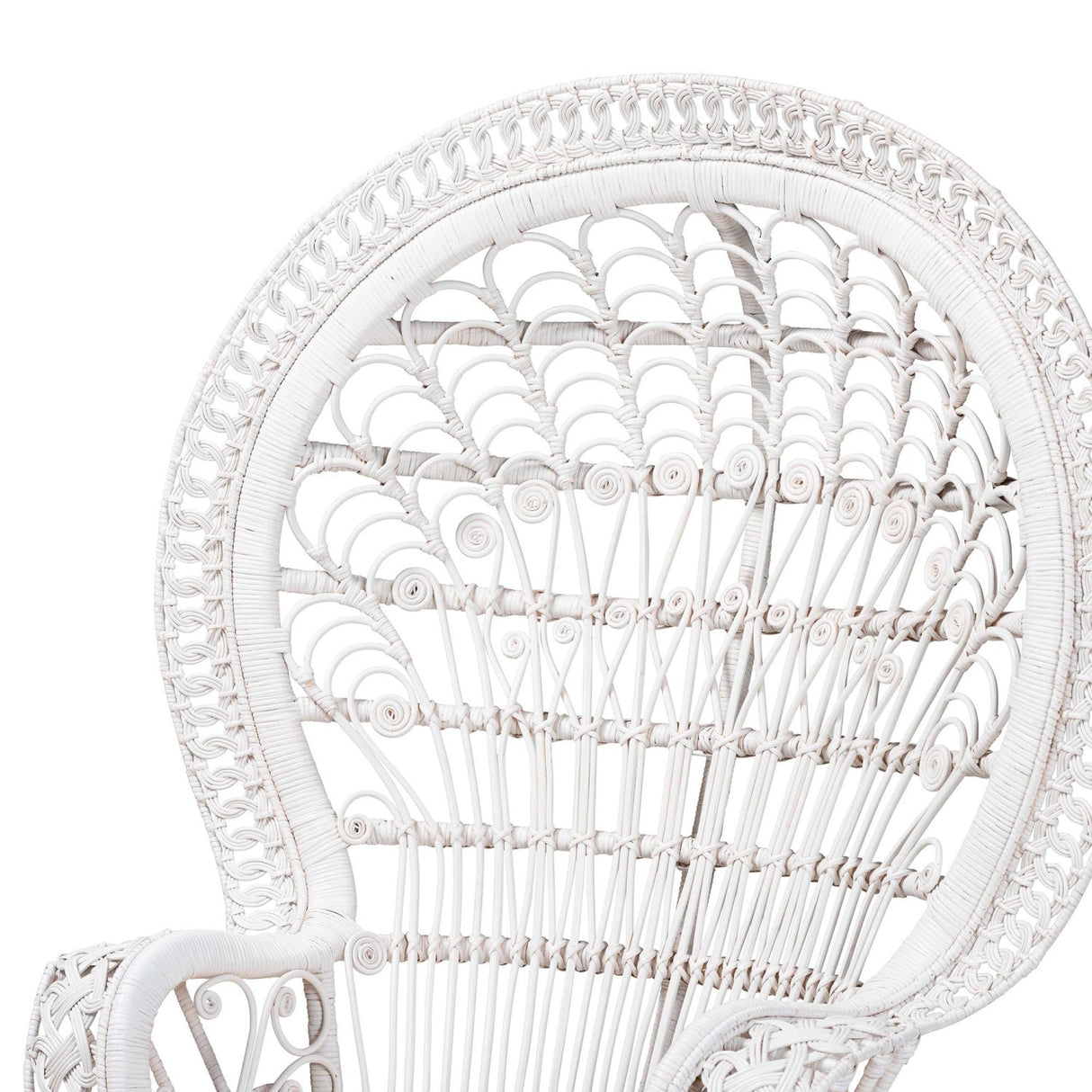   Modern European furniture - White Rattan Peacock Chair - www.oroa.com | Oroa.com