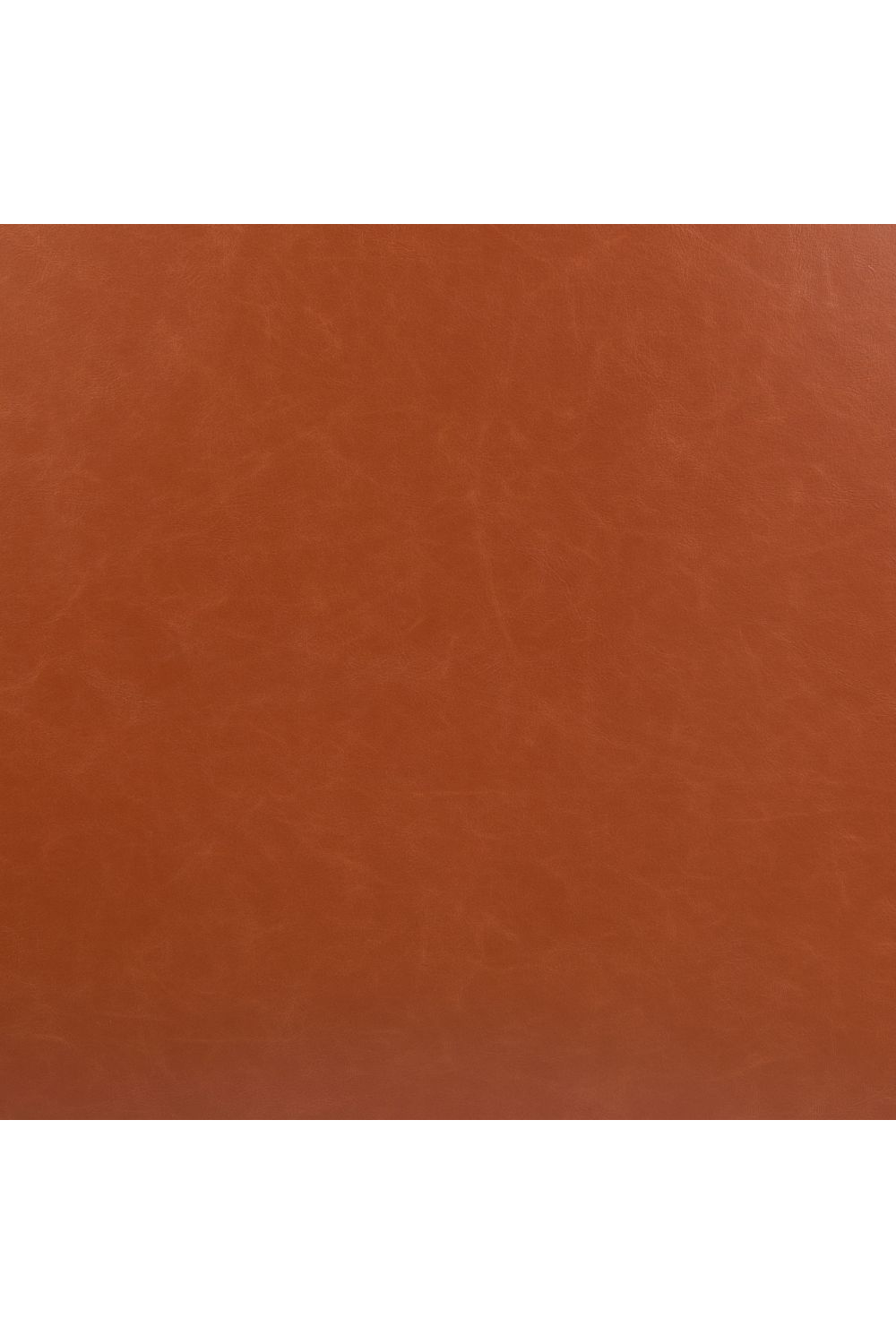   Leather Contemporary Accent Chair | Oroa.com