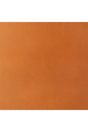   Tan Leather Accent Chair | Oroa.com