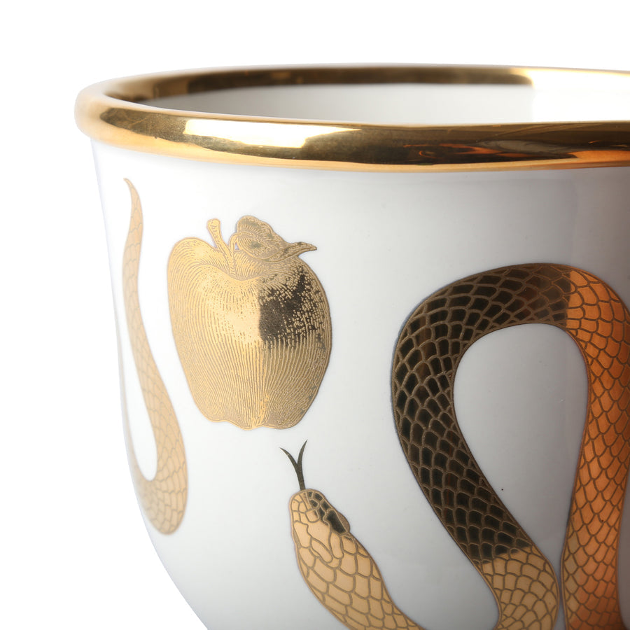   Porcelain Snake & Apple Bowl | Oroa.com