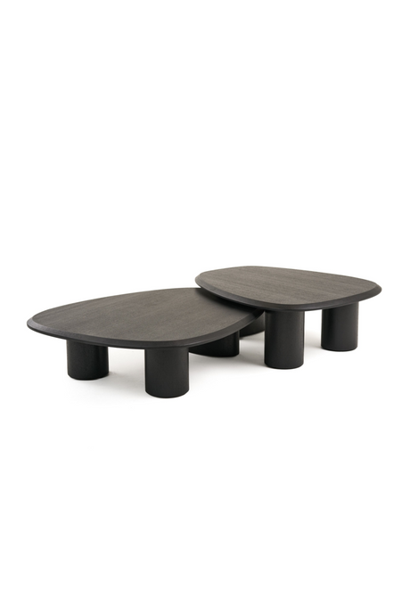   Freeform Ash Coffee Table Set (2) | Oroa.com