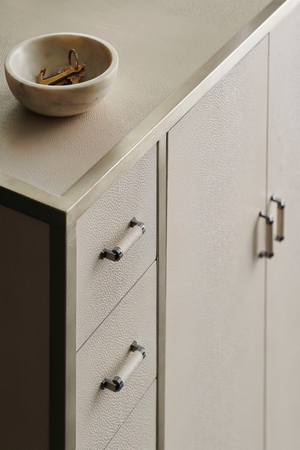  Art Deco Shagreen Cabinet | Oroa.com