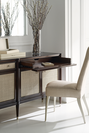   Modern Minimalist Dining Chair | Oroa.com