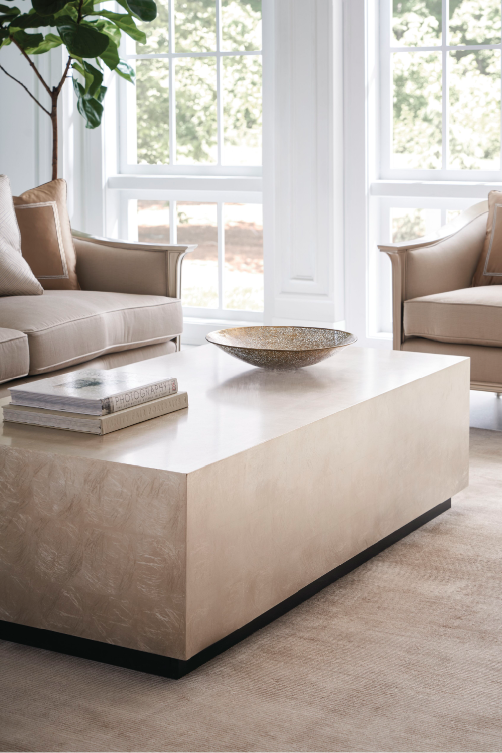   Rectangular Taupe Coffee Table | Oroa.com