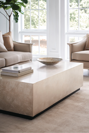   Rectangular Taupe Coffee Table | Oroa.com