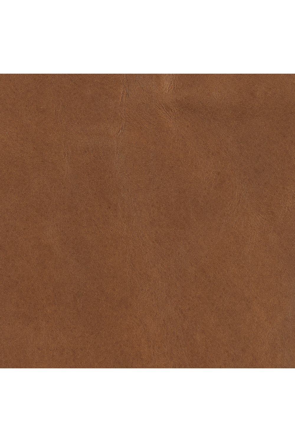   Brown Leather Lounge Chair | Oroa.com