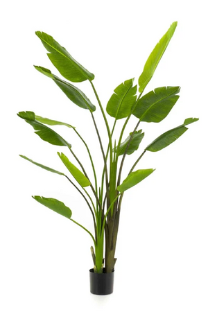   Faux Bird of Paradise Plant Set (2) | Oroa.com