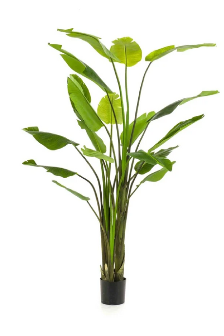   Faux Bird of Paradise Plant Set (2) | Oroa.com