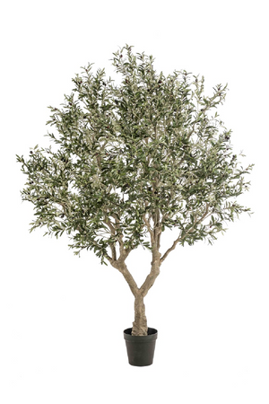   Faux Mediterranean Evergreen Tree | Oroa.com
