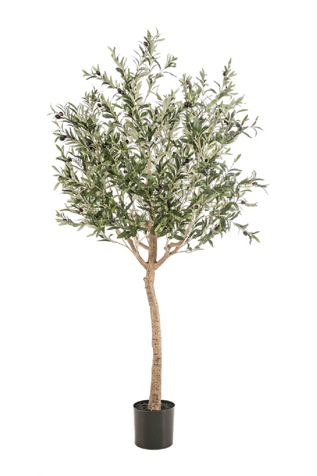   Faux Mediterranean Evergreen Tree Set (2) | Oroa.com