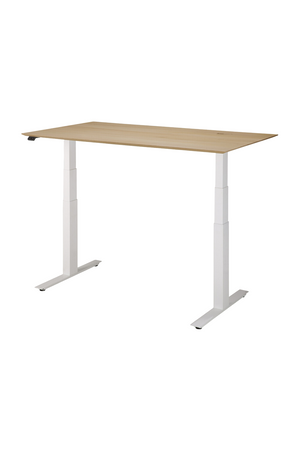   Oak Adjustable Desk M | Oroa.com