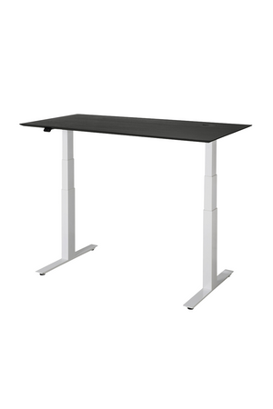   Oak Adjustable Desk M | Oroa.com