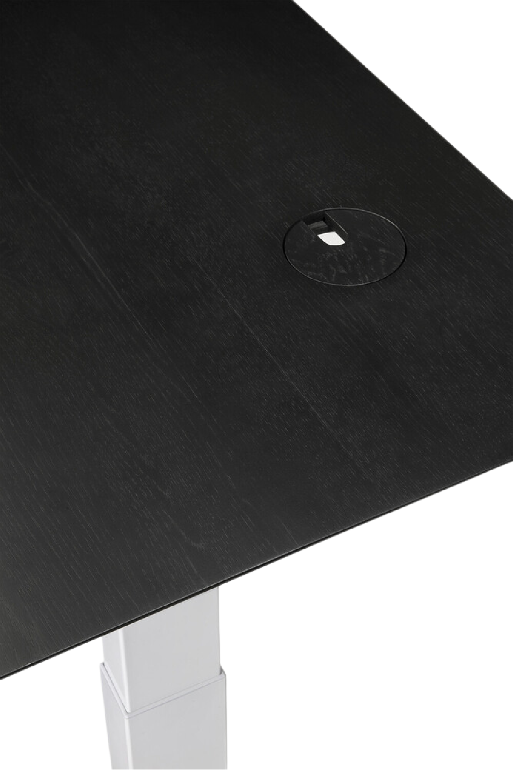   Oak Adjustable Desk M | Oroa.com